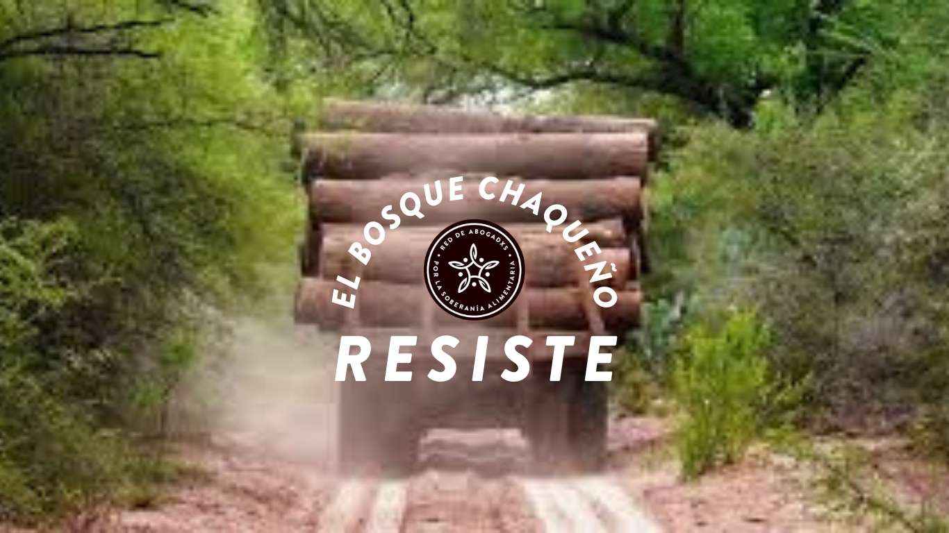 EL_BOSQUE_CHAQUENO_RESISTE_2